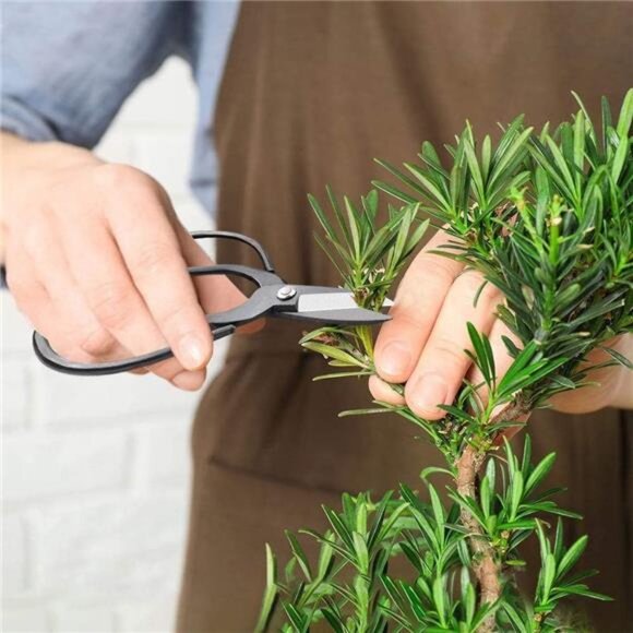 Bonsai Tools Set 13 Pcs High Carbon Steel Succulent Gardening Trimming Tools Set - Picture 4 of 7